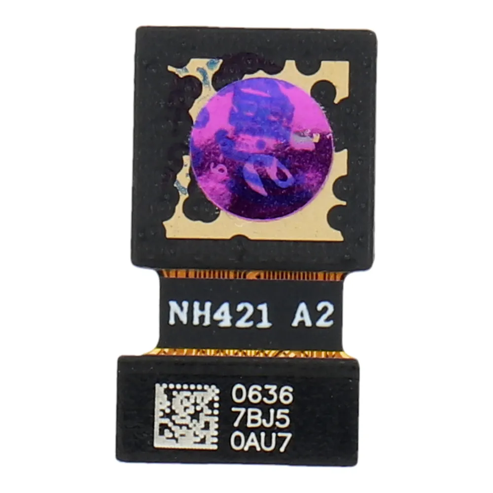 PWPT5903396151156