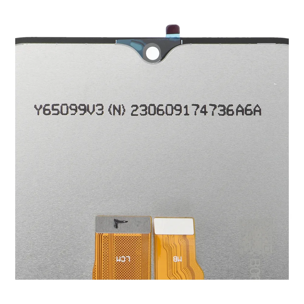 PWPT5903396319181